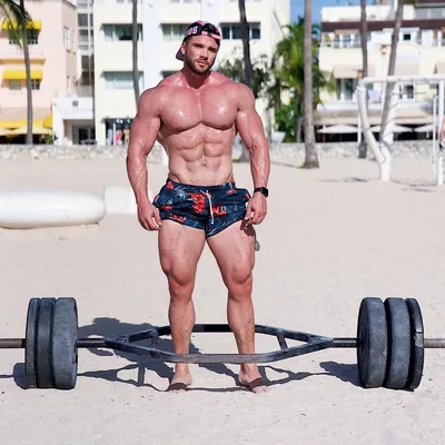 @miguelangelcartaya profile image