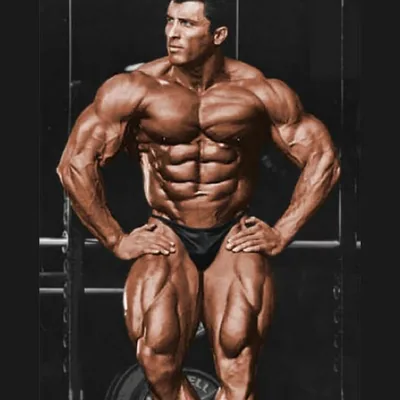 @milossarcev profile image