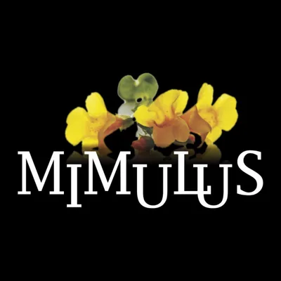 @mimulusdanca profile image