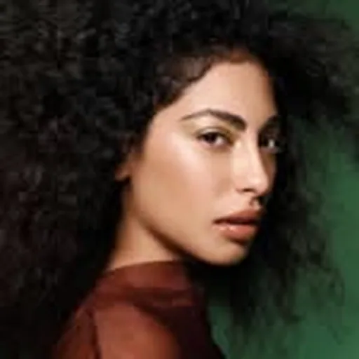 @minaelhammani profile image