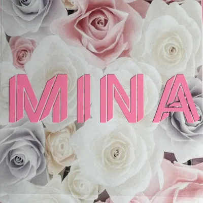 @minaexperts profile image