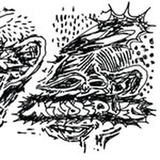 @mindliquidstudio profile image