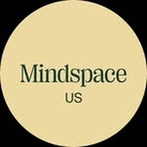 @mindspace_us profile image