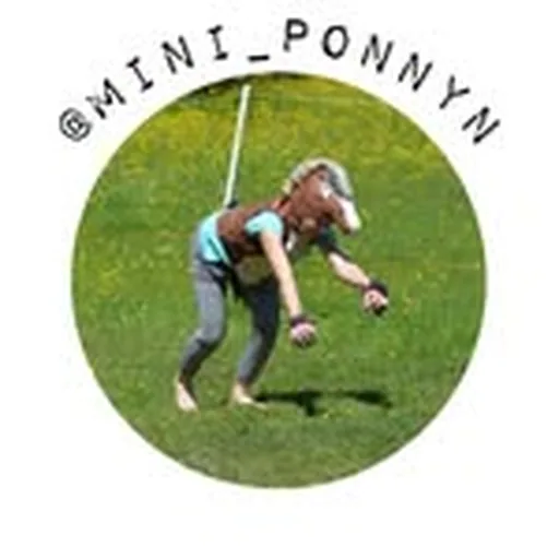 @mini_ponnyn profile image