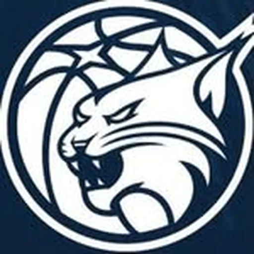 @minnesotalynx profile image
