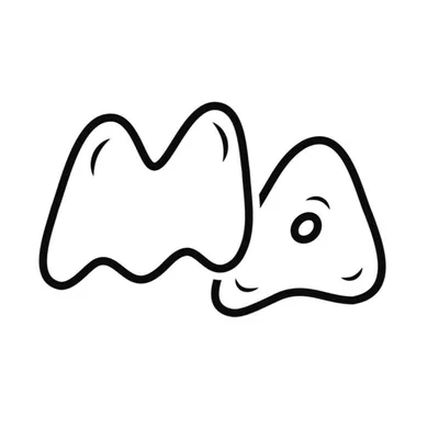 @minor.attractions profile image
