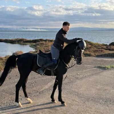 @mirakhorse profile image