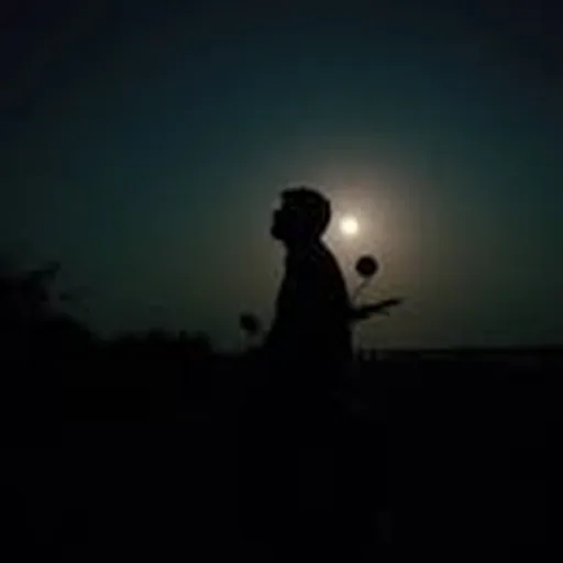 @mirshad_noor profile image