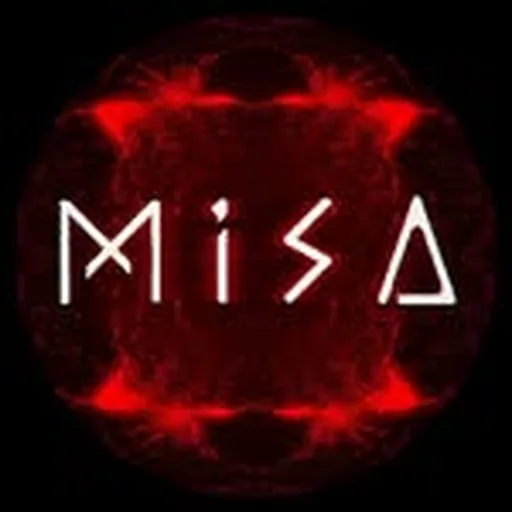@misa.chile profile image