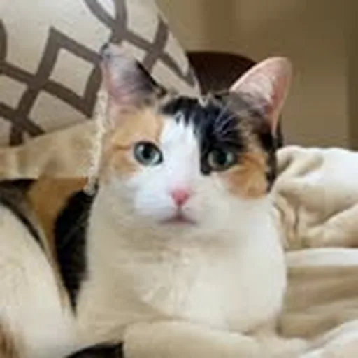@missdaisymae3 profile image