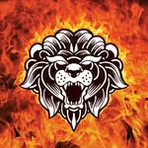 @missmayiband profile image