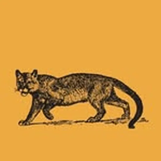 @misterctoronto profile image