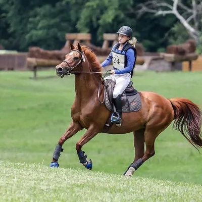@mistyeventing_ profile image