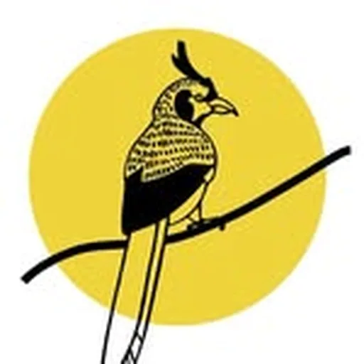 @mixantena profile image