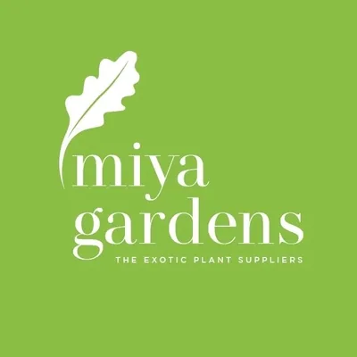 @miyagardens profile image