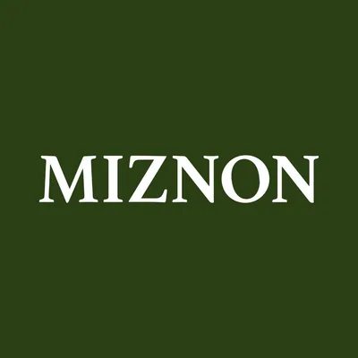 @miznonsg profile image