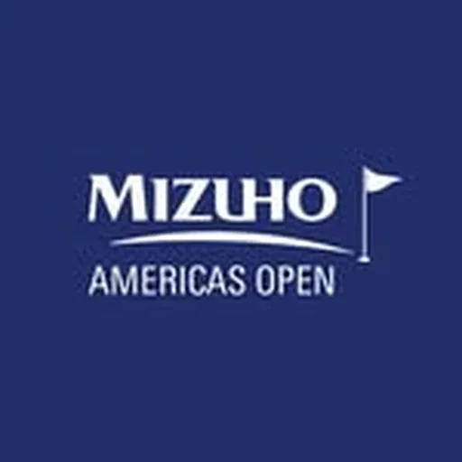 @mizuholpga profile image