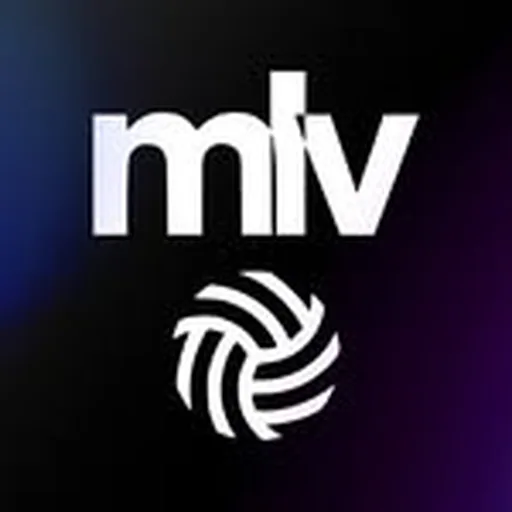 @mlv profile image