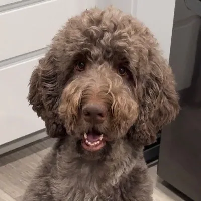 @mochadoodle__ profile image
