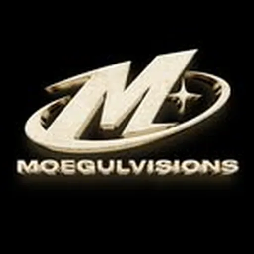 @moegulvisions profile image