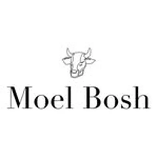 @moelbosh profile image