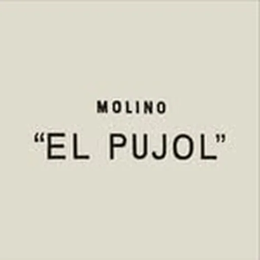 @molinopujol profile image