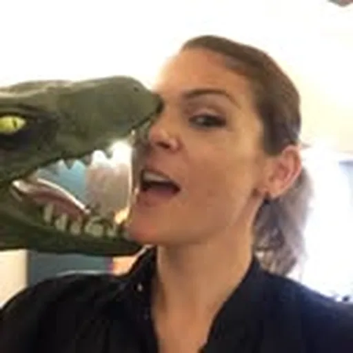 @molliemogo profile image