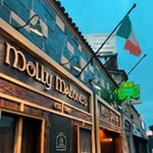 @mollymalonesla profile image