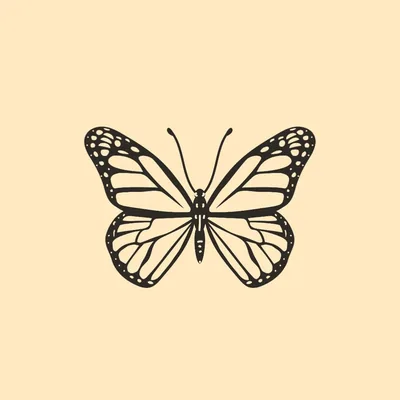 @monarcaulje profile image