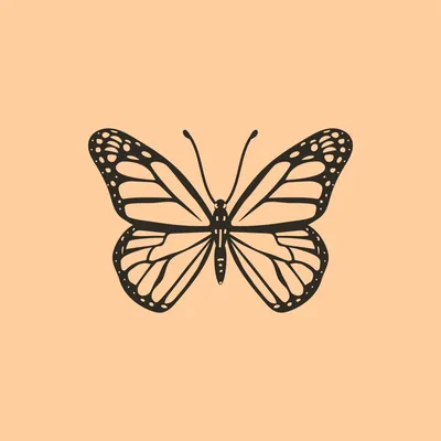 @monarchuljerd profile image