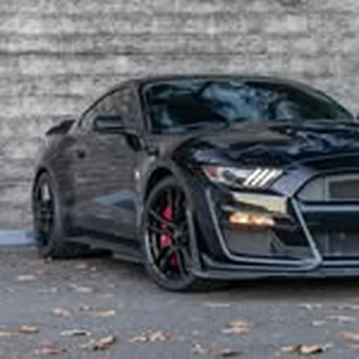 @moochstang profile image