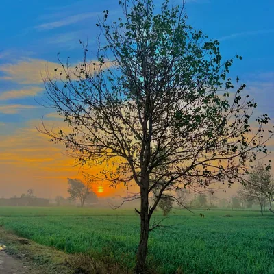 @moodey_nature1 profile image