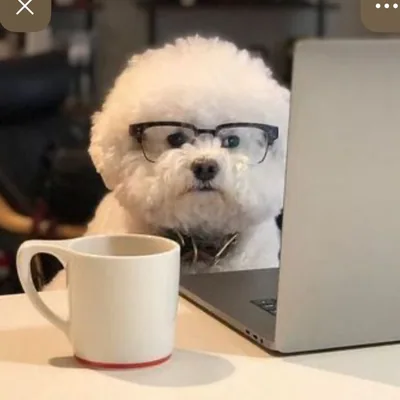 @moongboss profile image