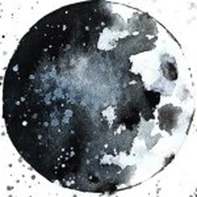 @moonrisecreek profile image