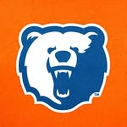 @morganstatebears profile image