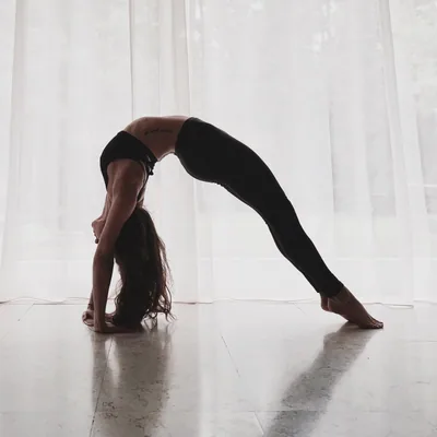 @morning.lou profile image