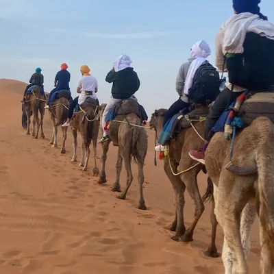 @morocco_luxurytravel profile image