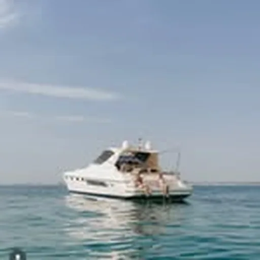 @moroseta_boats profile image