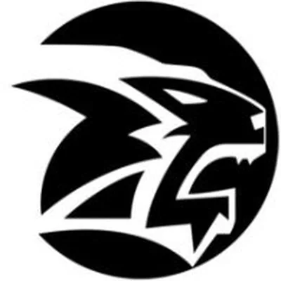 @morumbiacademy profile image