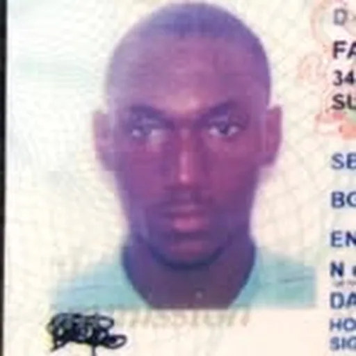 @moshefalade profile image