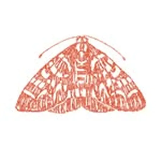 @mothstories profile image