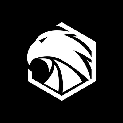 @motivehawks profile image