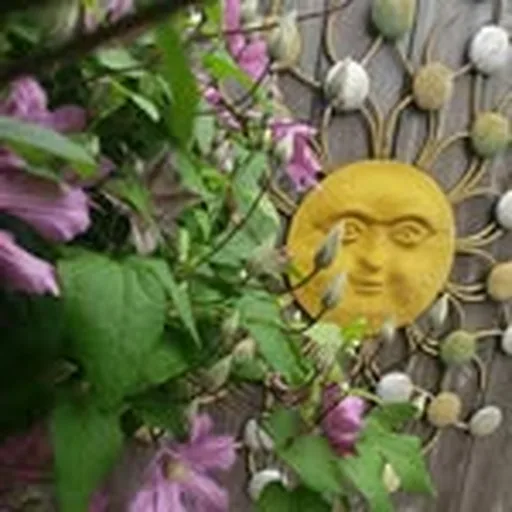 @moxie_gardens profile image