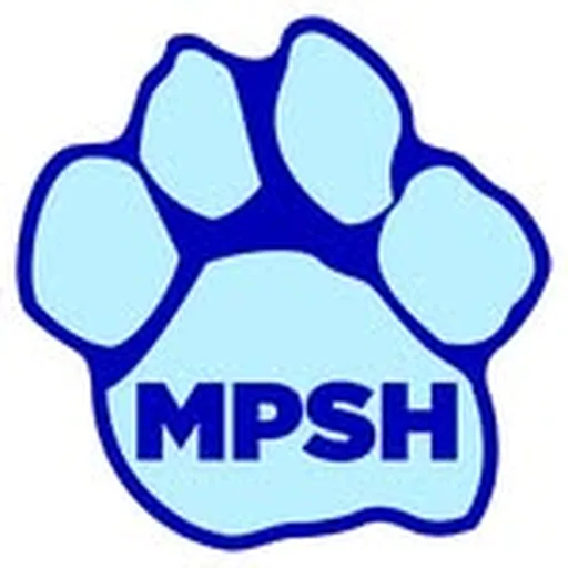 @mpshptsa profile image