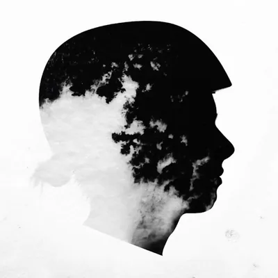 @mr.moo__ profile image