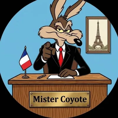 @mrcoyote.fr profile image