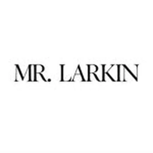 @mrlarkin profile image