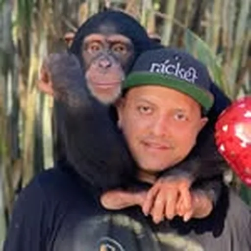 @mrmauricio profile image