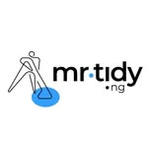 @mrtidy.ng profile image