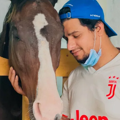 @msharief19 profile image